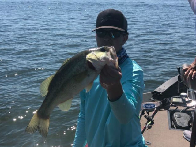 Eufaula Lake Fishing Report 26 May 2019 - Eufaula Lake Guides