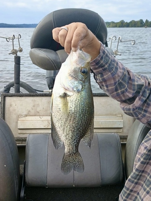 Lake Eufaula Crappie fishing