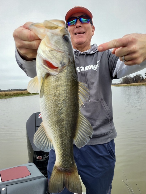 Lake Eufaula Bass fishing