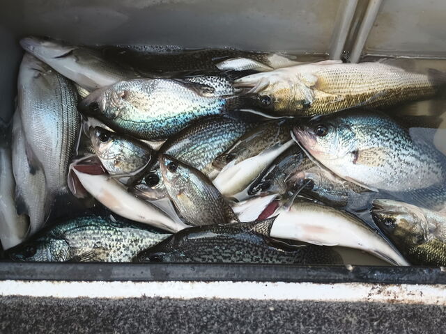 Lake Eufaula fishing